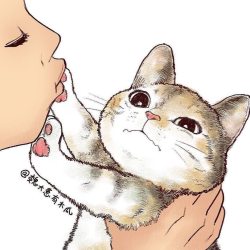manga cat
