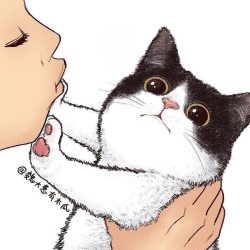 kitty dont want to kiss