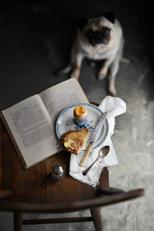 breakfast with book and dog