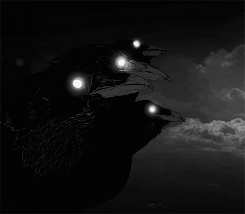 crows eyes