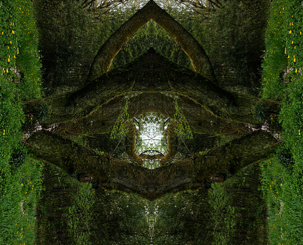 vika magnitskaya  - symmetry art