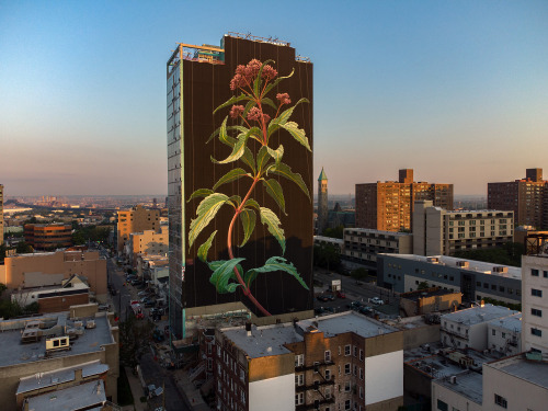 Jersey City, mural