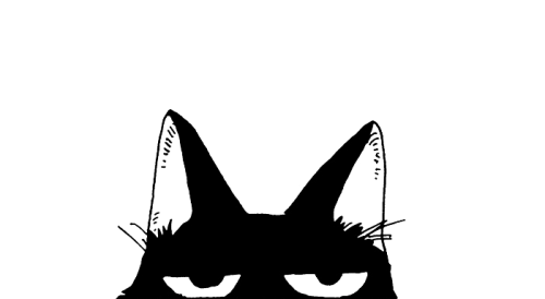manga cat