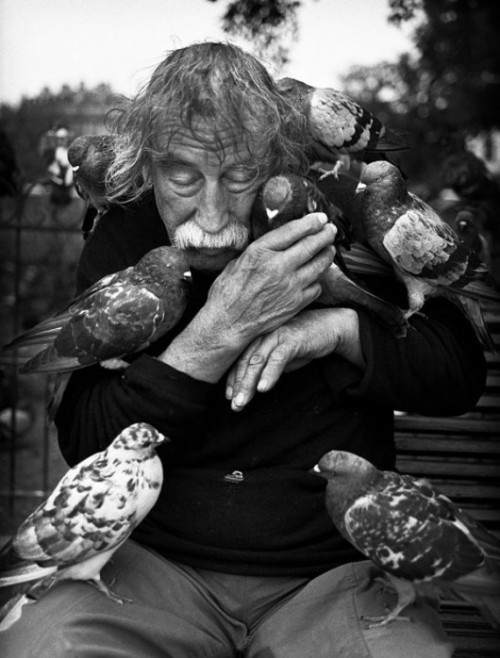 old man and pigeons
