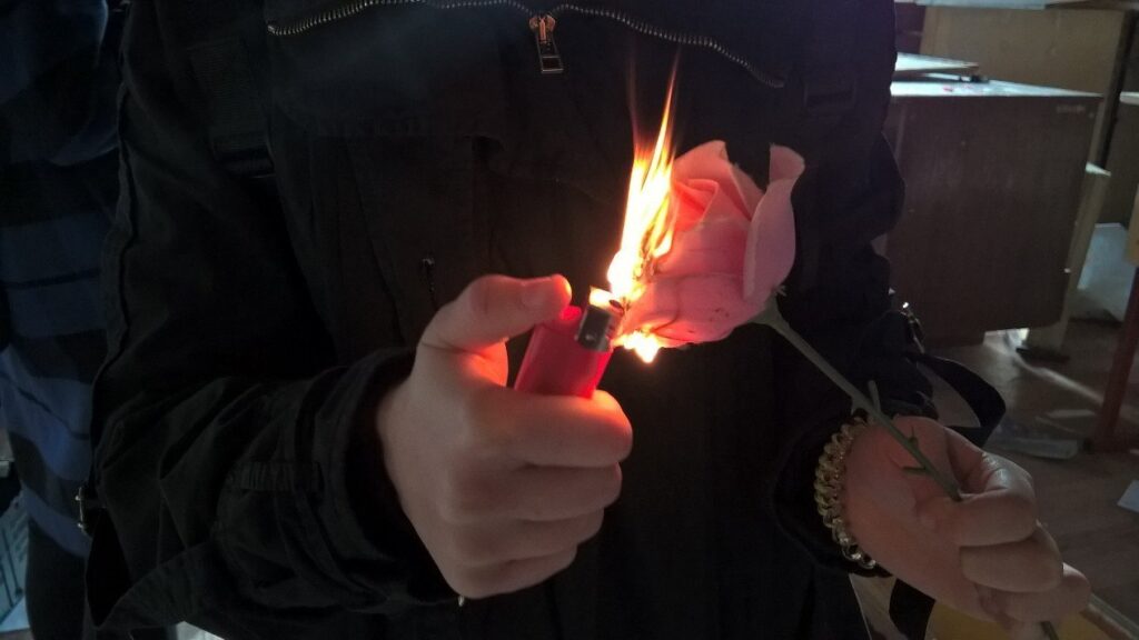 burning rose