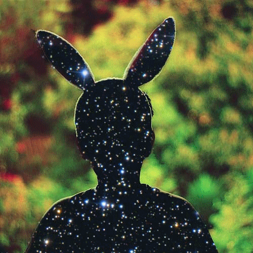 space bunny.