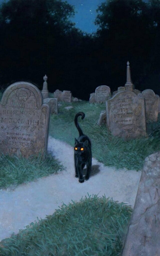 black cat at the cemetery