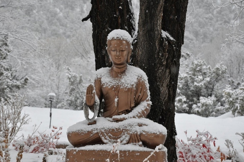 buddha under snow