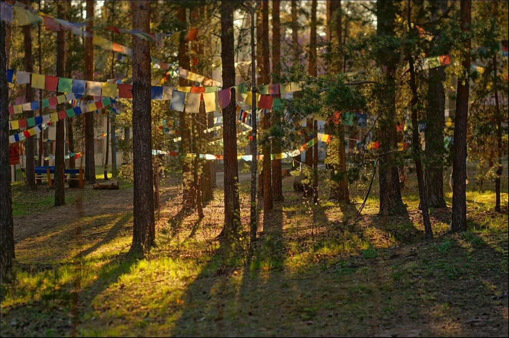 buddhist flags in forest