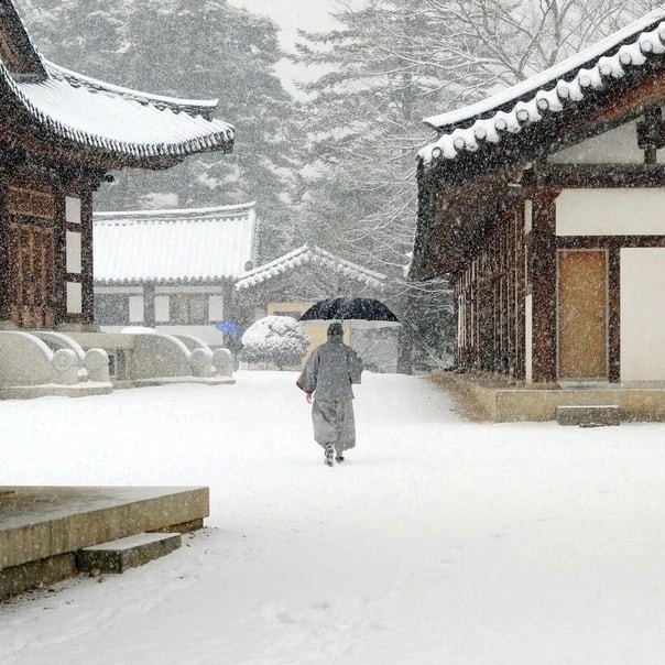 buddhist monk with umbrella under snow