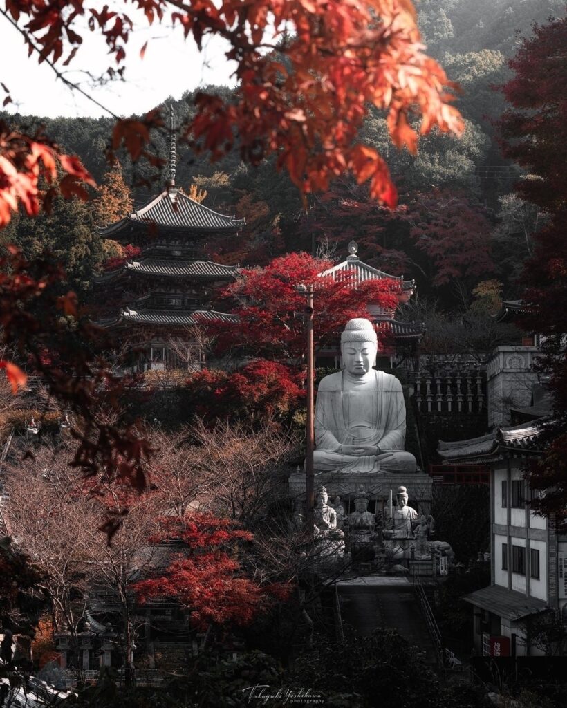 temple Cubosaka-dera