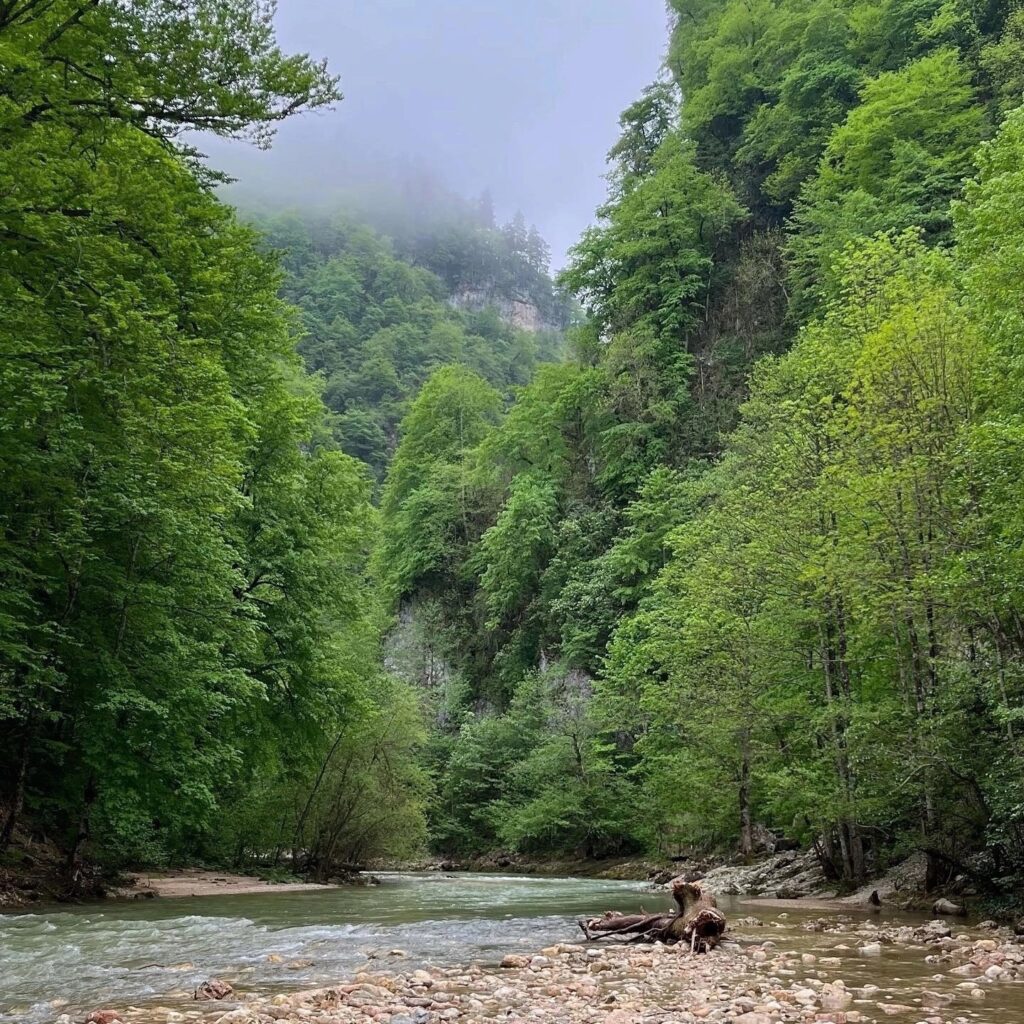 mountain creek