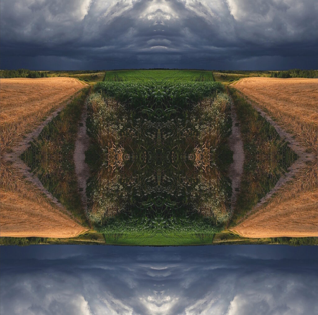 Symmetry Art - Vika Magnitskaya